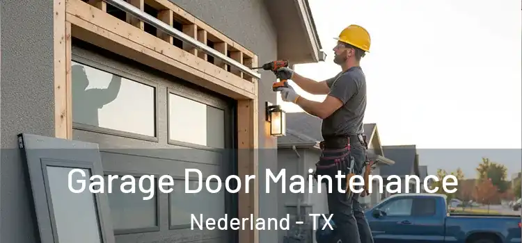 Garage Door Maintenance Nederland - TX