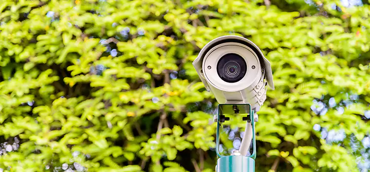 Advanced Surveillance Solutions for Every Need in Nederland