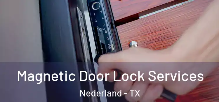 Magnetic Door Lock Services Nederland - TX
